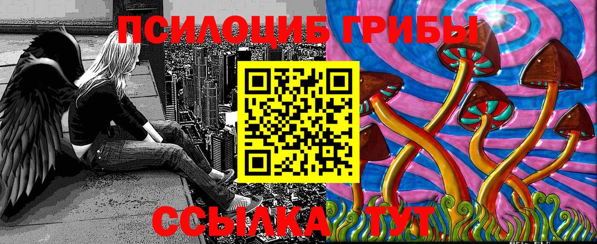 Славянск-на-Кубани  где найти наркотики  Псилоцибиновые грибы Cubensis  Вход с VPN  Псилоцибиновые грибы Cubensis 